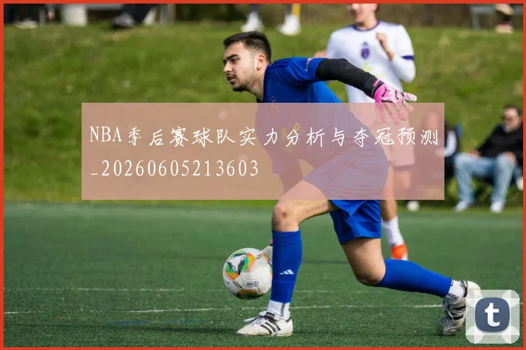 NBA季后赛球队实力分析与夺冠预测_20260605213603